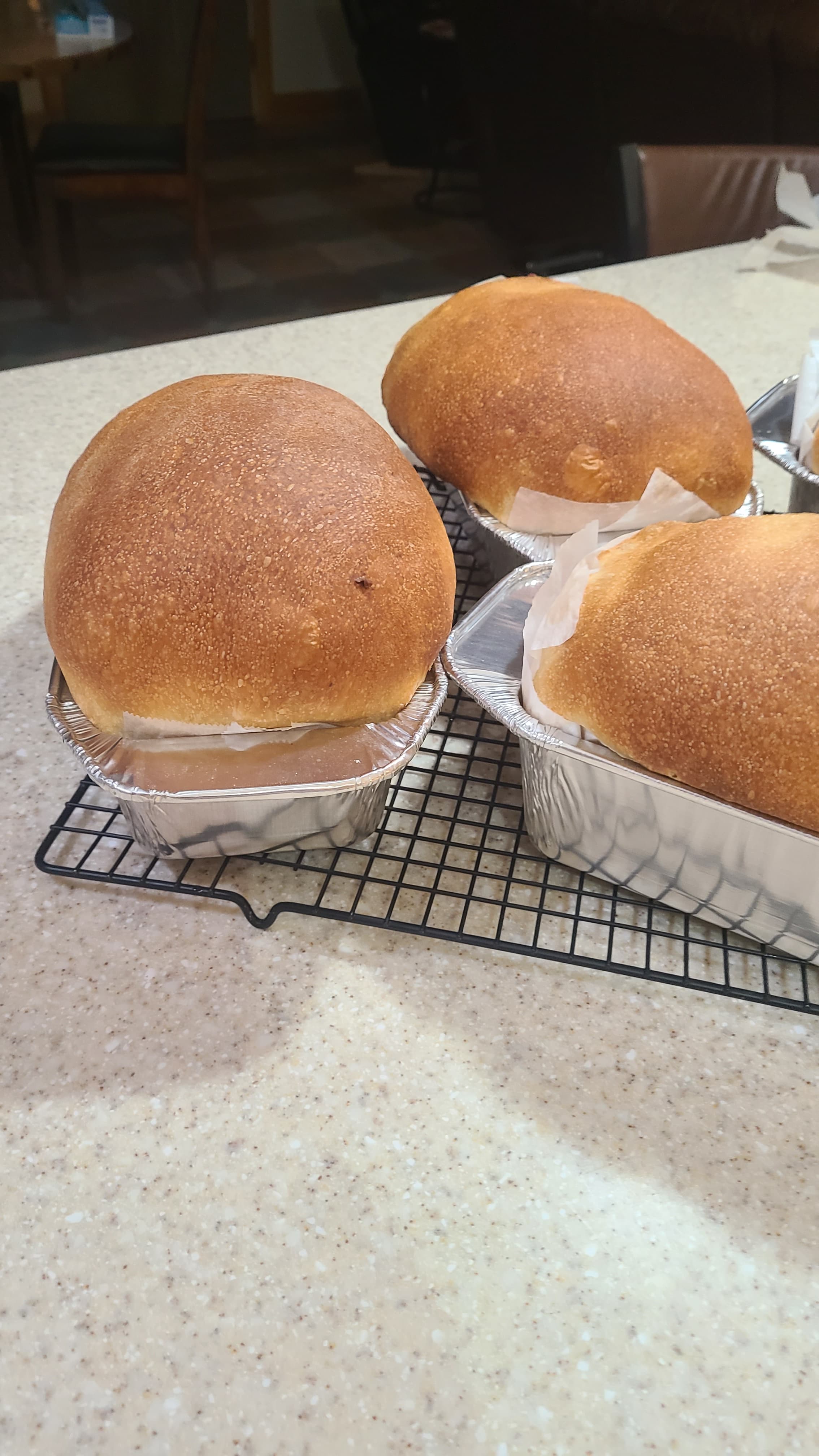Soft Sourghdough Sandwich Bread